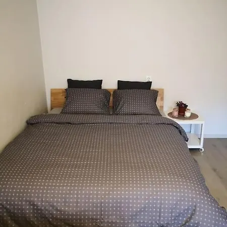 Big Scandinavian Apartment- Balticum Biggest Park *